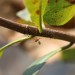 become a better photographer ant original