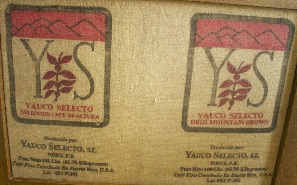 coffee facts-coffee is grown along the equator coffee facts-coffee is grown along the equator