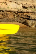 Croc seen while kayaking in Katherine Gorge, Northern Territory, Australia