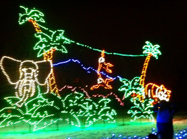 Calgary Zoo Lights Calgary Zoo Lights