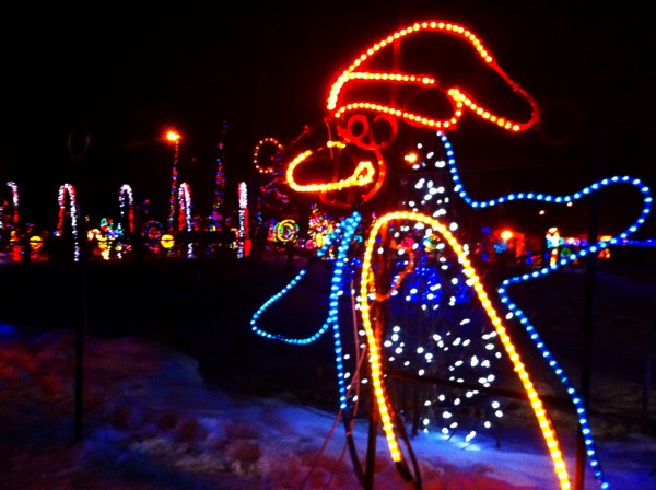 Calgary Zoo Lights in Calgary, Canada