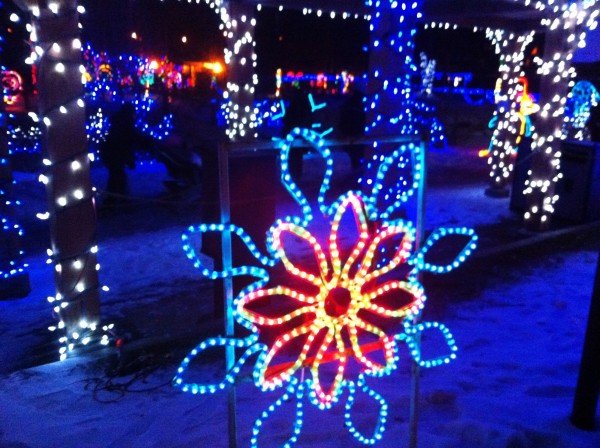 Calgary Zoo Lights in Calgary, Canada