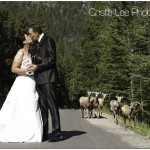 Just Married in the Canadian Rockies