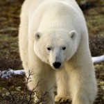 Unexpected Ecotourism Destinations According to Top Travel Bloggers