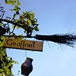Hungry in Germany? Look for a Broomstick!