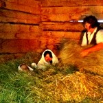 A Hay Bath in Alpe di Siusi