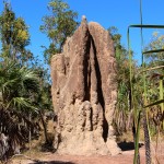 Magnetic Termite Mounds: Mein liebstes Stück Architektur im Northern Territory von Australien