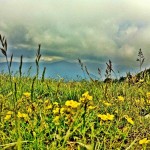 Montseny Natural Park: A Slower Way of Life