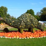 5 Reasons to Visit the World’s Largest Pumpkin Festival in Germany