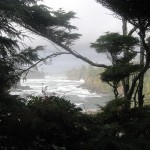 My Top 5 Travel Destinations of 2010