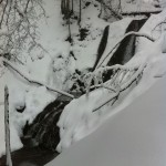 Walking in a Winter Wonderland in the German Alps