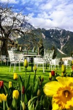 Flowers and mountains at the Alpenresort Schwarz in Tyrol, Austria.