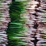 Calçot Eating Contest in Catalonia