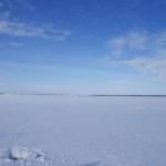 Finn for a Day in Oulu, Finland