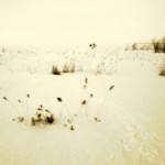 Snowshoeing on the Baltic Sea near Oulu, Finland