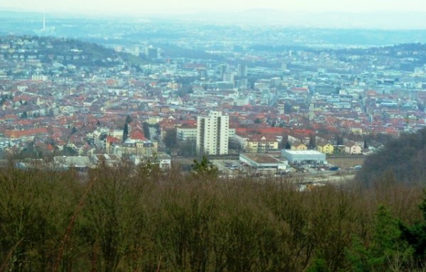 My Favorite Attraction in Stuttgart, Germany - Monkeys and Mountains