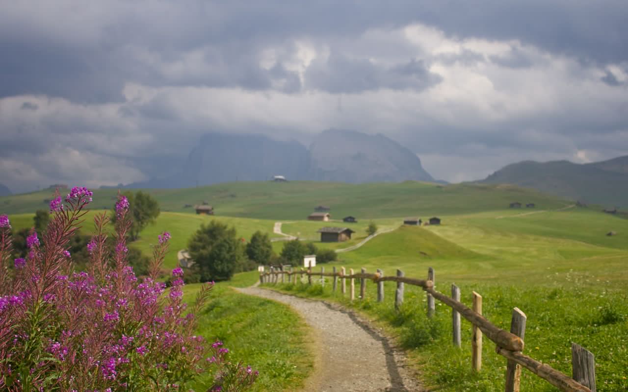 Setting off to paraglide over Alpe di Siusi (Seiser Alm) in the Dolomites