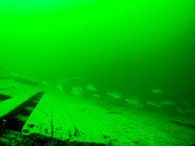 The Best Wreck Dive in Okanagan Lake