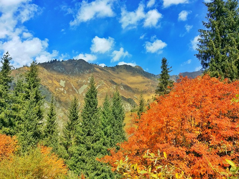 tien shan mountains