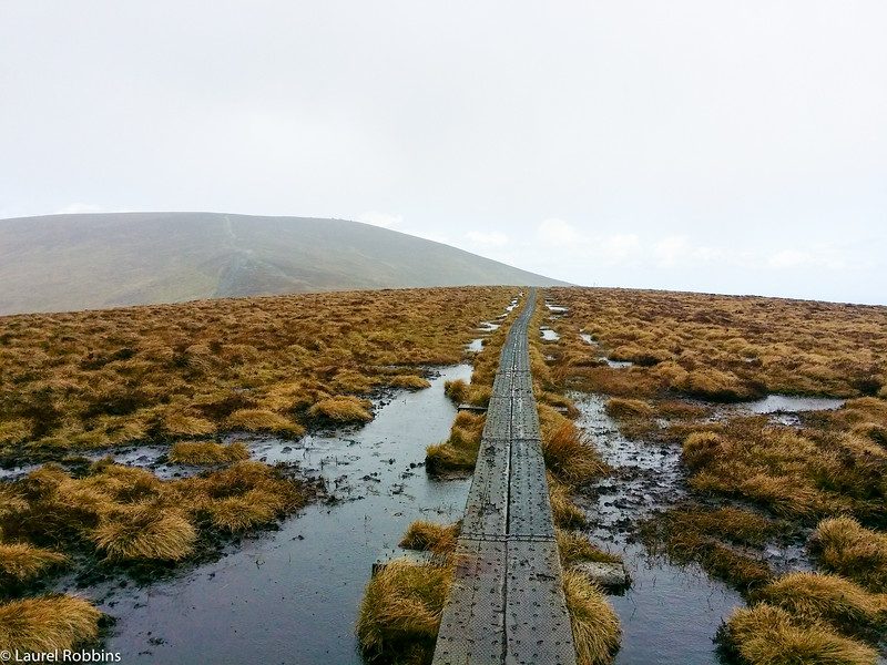 Glendalough loop