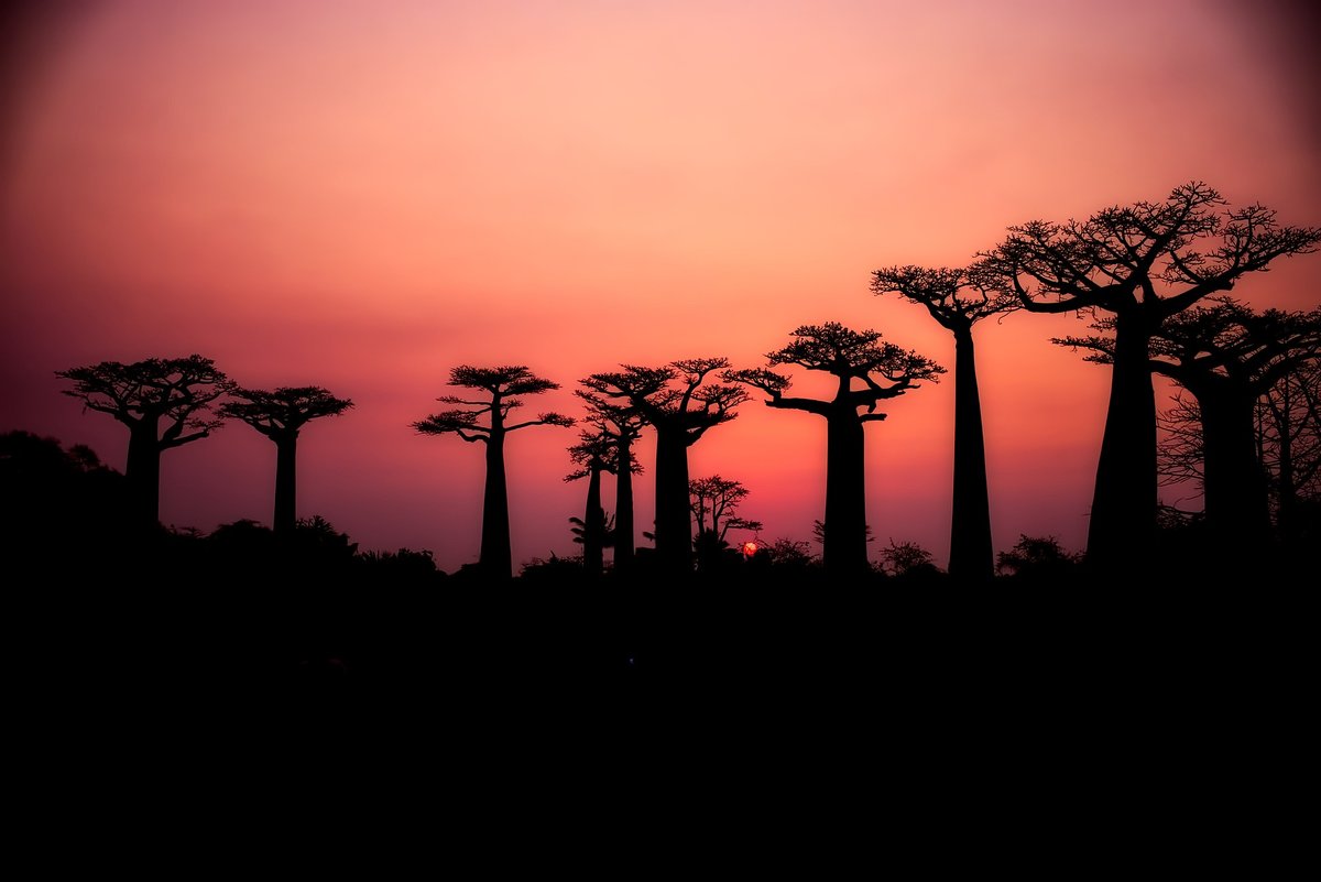 travel in Madagascar, what you need to know