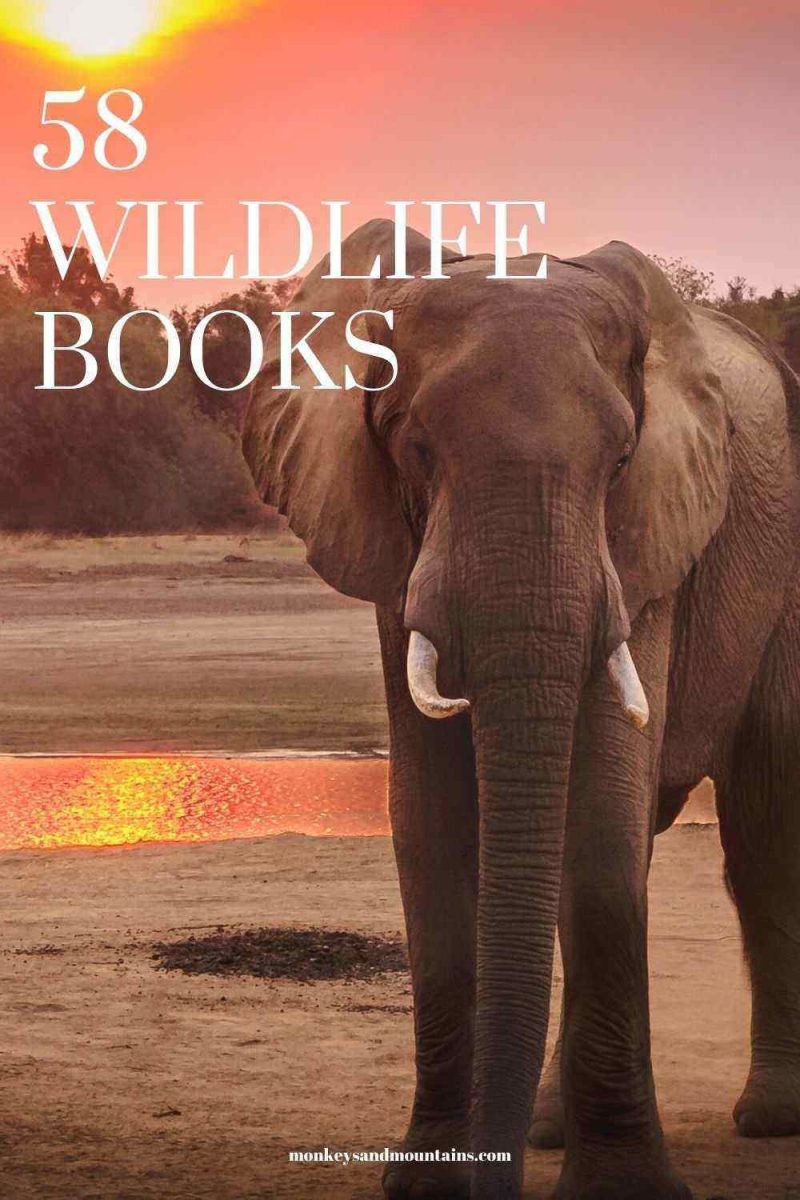 58 Best Wildlife Books That Natural History Buffs Will Love