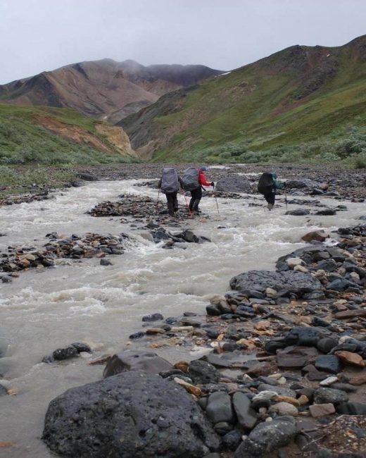 Denali National Park is the perfect pick if you love hiking. 