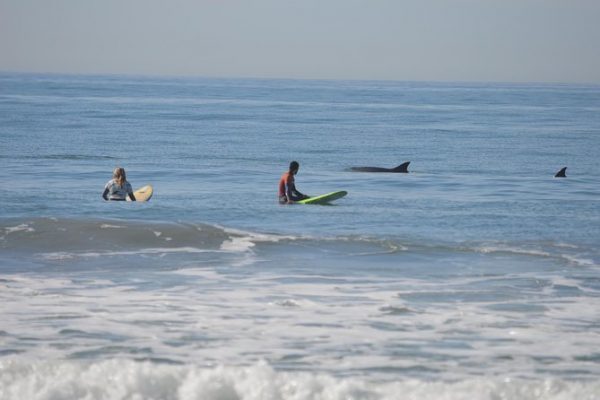 Adventure in California: Top 56 Adventures you Have to Try