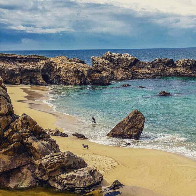 Andrew Molera State Park is a must see in Big Sur