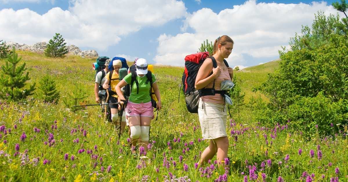 Hiking for Beginners: How to Start Hiking and Have an Amazing Day