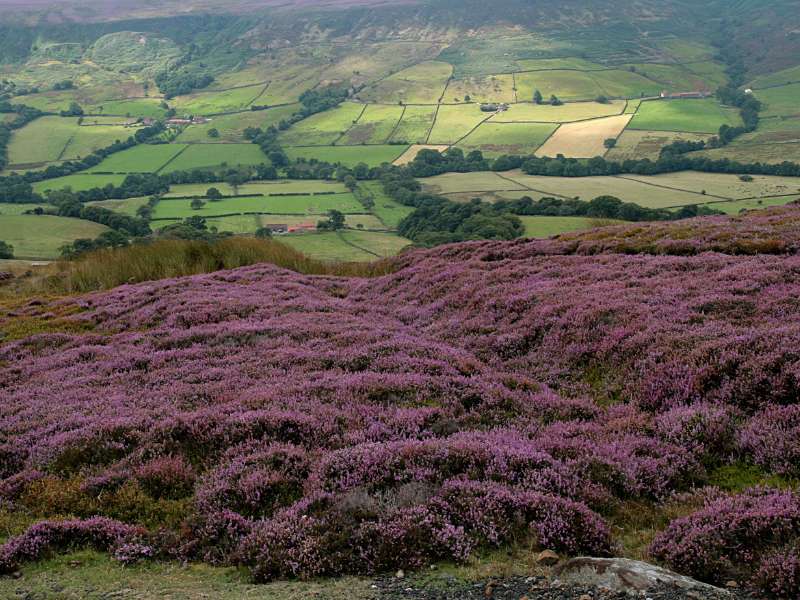 Coast to Coast Walk From Great Broughton To Blakey Ridge
