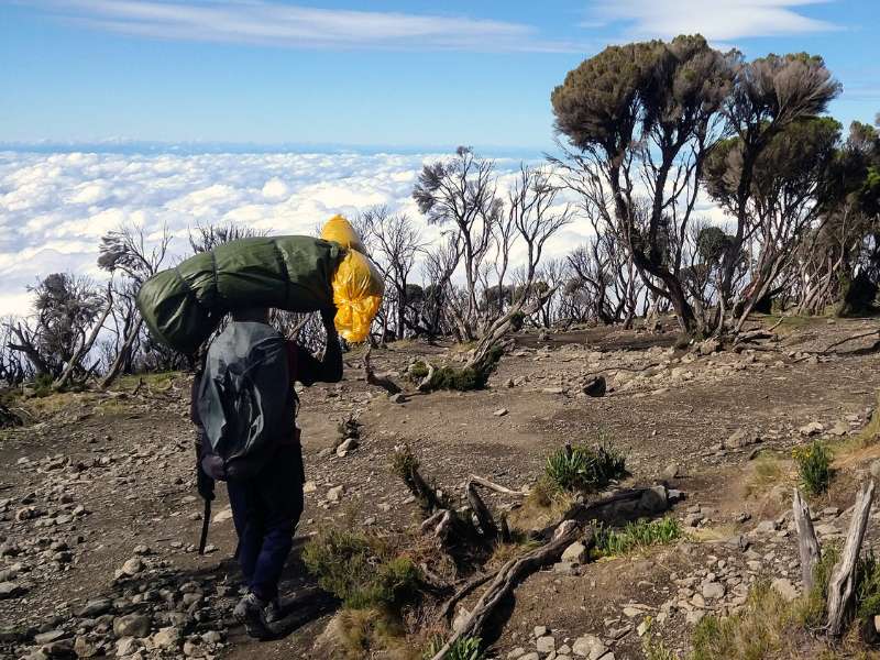 day 7 of hiking the kilimanjaro