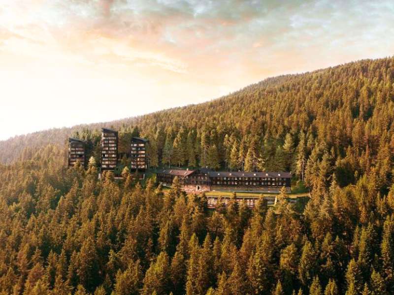 Forestis Dolomites hotel in Dolomites Italy