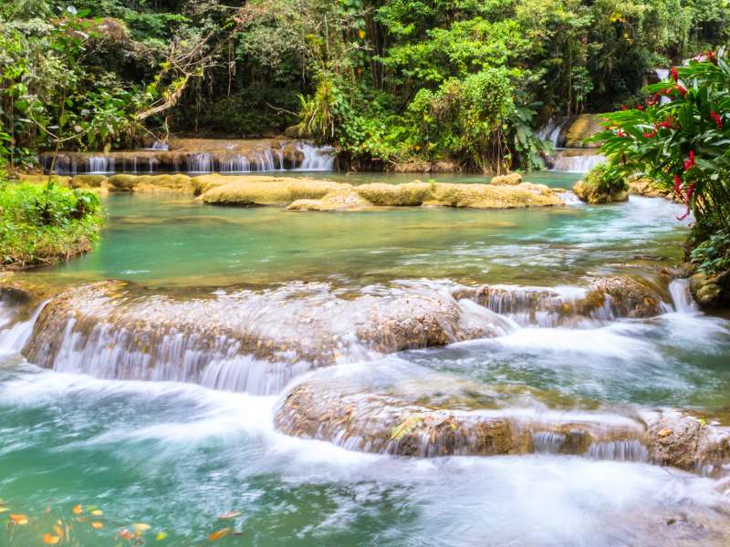 YS Falls: The Adventure Seeker's Paradise