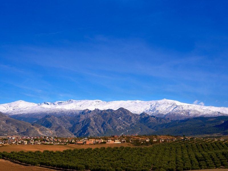 The snow-capped Sierra Nevada range rising above the cultivated valley floor in Andalusia, southern Spain