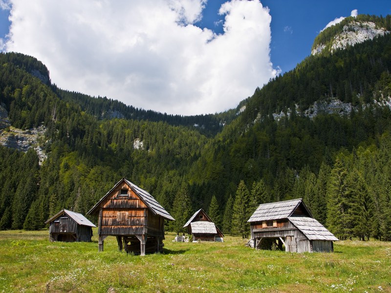 Alpine pasture huts julian alps