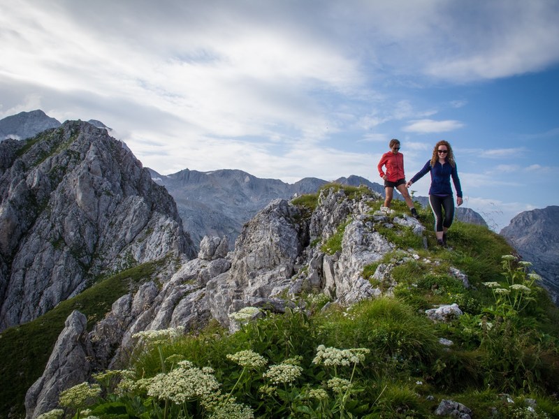 Hikers on a flowered ridge julian alps