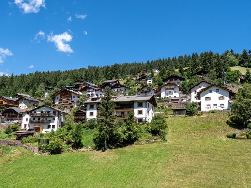 Alpine chalets and small hotels on a meadow near Ortisei, Val Gardena, Dolomites, Italy