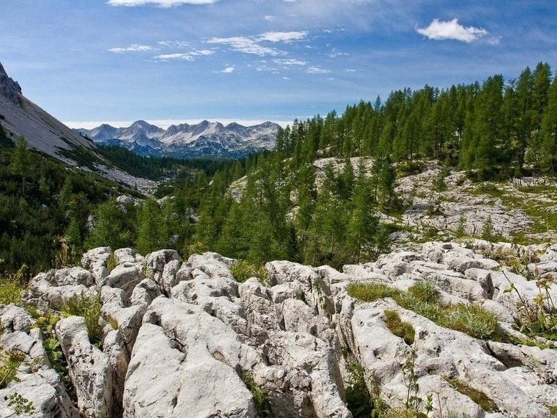 Bare limestone slabs and karst pavement below rocky peaks in Triglav National Park, the terrain crossed on the Hribarice Plateau