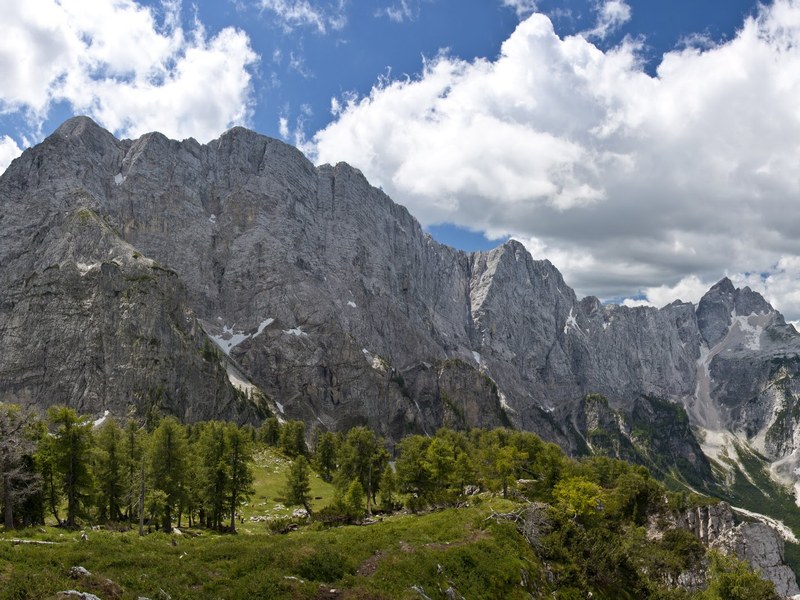 Julian alps peaks from the forest