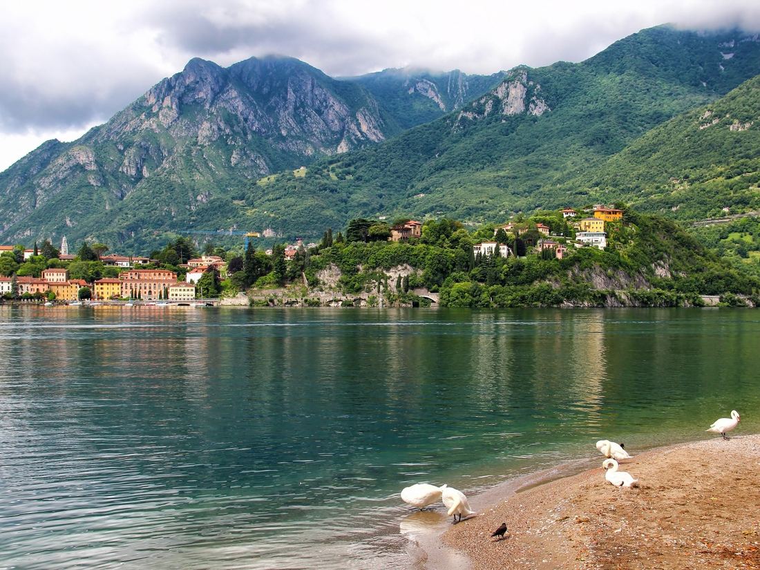 Swans on the shore at Lecco, on the quieter eastern arm of Lake Como and the cheapest place to stay on the lake