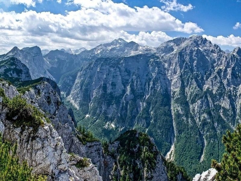 Huge limestone walls falling into a deep green valley in the Julian Alps, seen from the Pokljuka Plateau