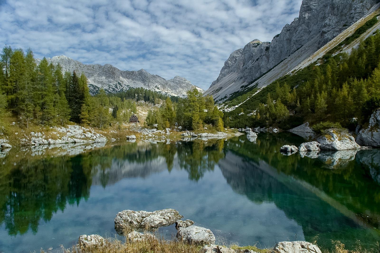 Double Lake in the Valley of the Seven Triglav Lakes, mirror still between larches and a pale limestone wall, on our self-guided Slovenia hut to hut hiking tour in the Julian Alps