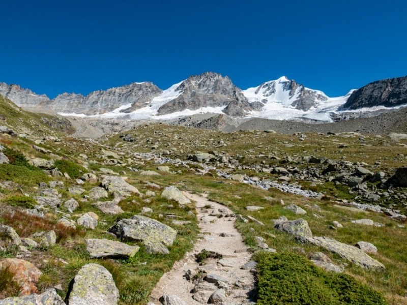 A hiking trail leading towards the snow and ice of the Gran Paradiso Glacier in the Italian Alps