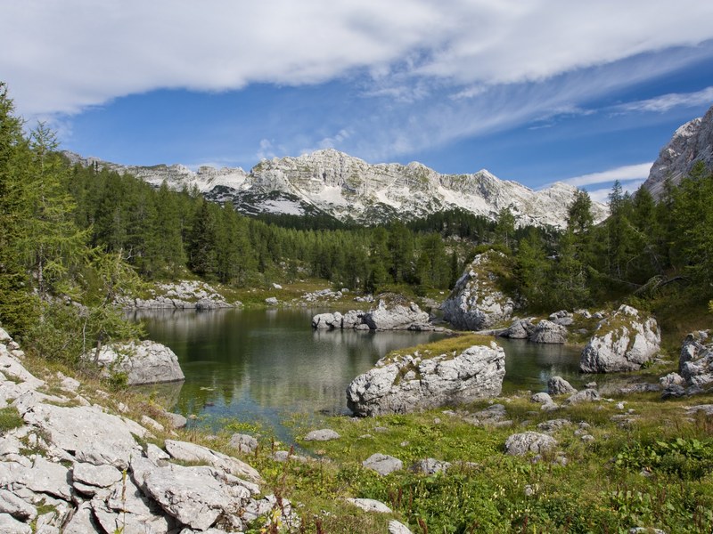 A clear alpine lake ringed by pale limestone slabs and pines in the Valley of the Seven Triglav Lakes, the centerpiece of hiking in Slovenia's Julian Alps