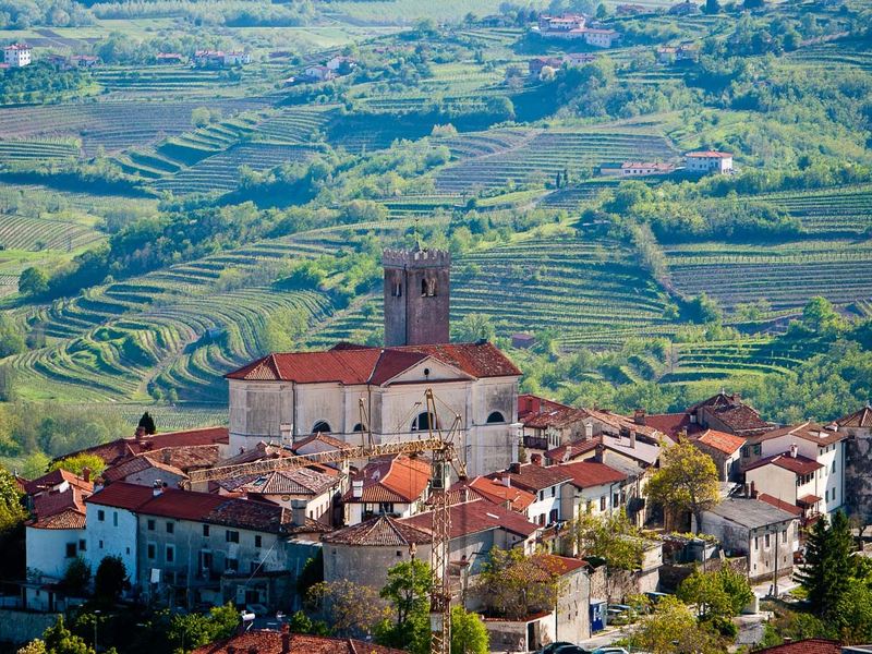 A village church tower below terraced vineyards in the Vipava Valley wine region, where the Slovenia hiking tour finishes with a cellar dinner